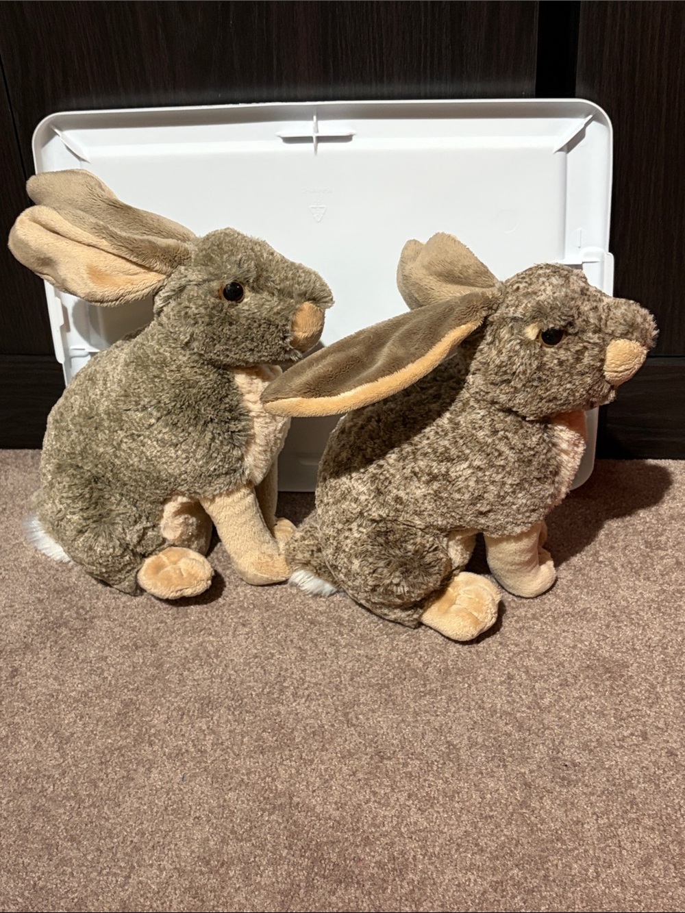 Plush Twin Jack Rabbits - Tan and Light Brown Soft Toys - Picture 4 of 5